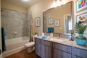 A bathroom with a sink and a toilet and a shower